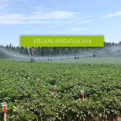 Ateliers Irrigation 2018 | Pommes de terre, goutte-à-goutte et aspersion
